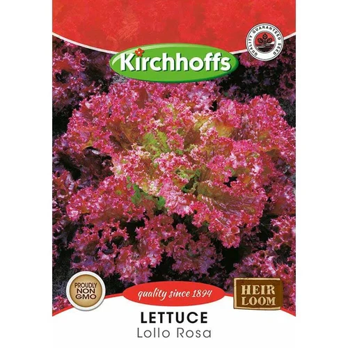 Vegetable Seed Lettuce Kirchhoffs - Image 4