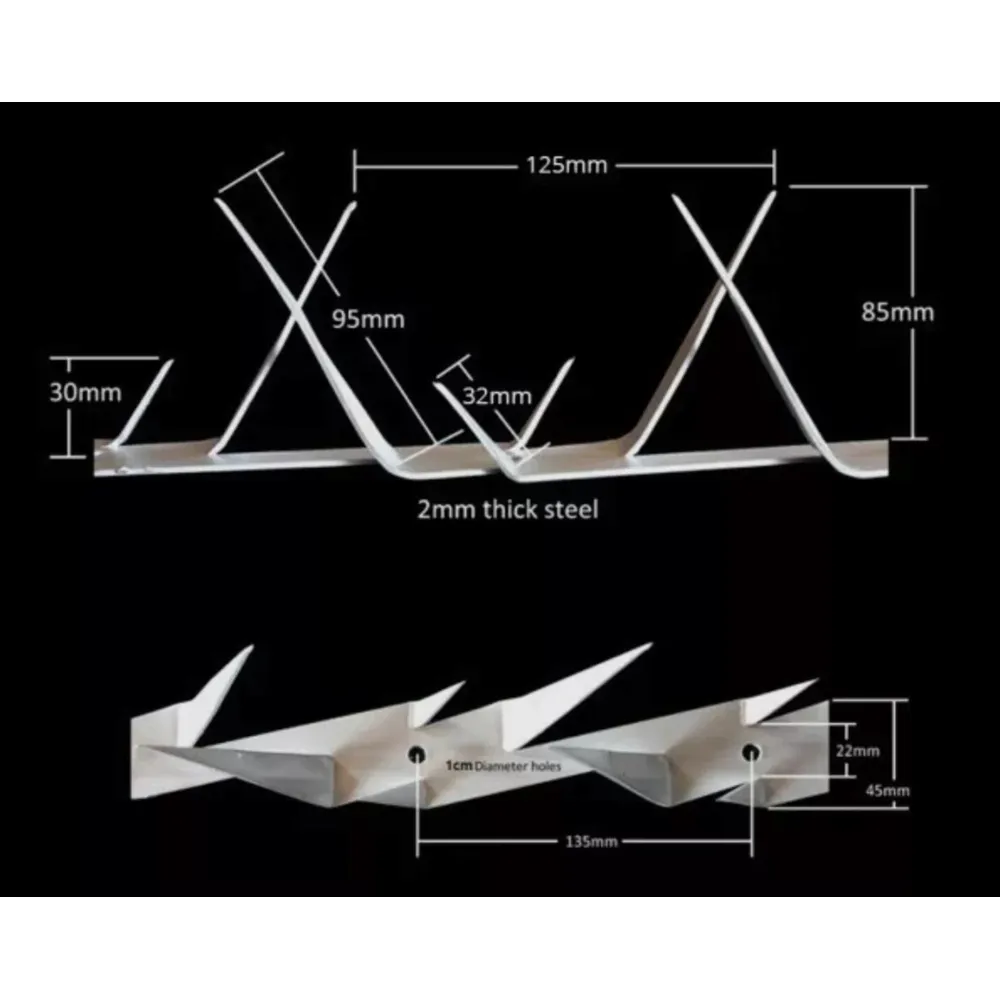 Wall Spike Barracouta - Image 3